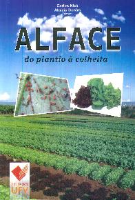 Alface