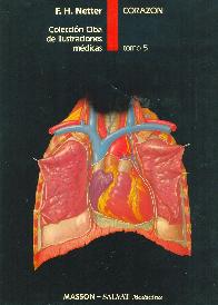 Netter Corazon T5 Ciba de ilustracion medica