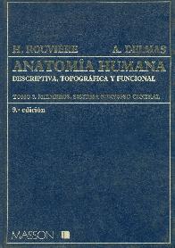 Miembros, sistema nervioso central (Anatomia humana; T.3)