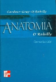 Anatomia ORahilly