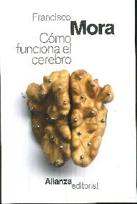 Cmo funciona el cerebro