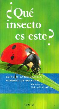 Que insecto es este?