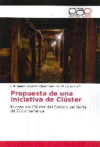 Propuesta de una iniciativa de clster.