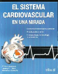 El sistema cardiovascular en una mirada