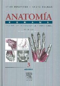 Rouviere. Anatoma humana Tomo 3