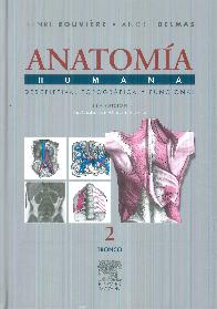 Rouviere. Anatoma humana Tomo 2