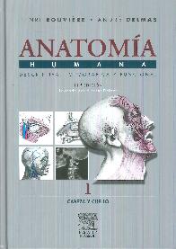 Rouviere. Anatoma humana Tomo 1
