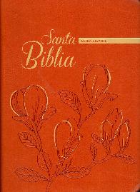 Santa Biblia Letra Gigante