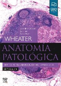 Anatoma Patolgica Wheater