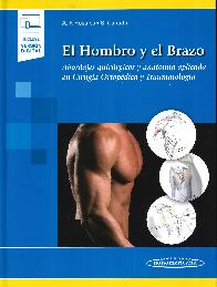 El hombro y el brazo