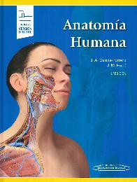 Anatoma Humana