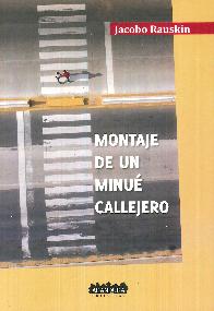 Montaje de un minu callejero