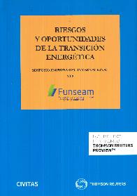 Riesgos y oportunidades de la transicion energtica