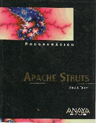 Programacion Apache Struts