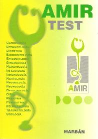 AMIR Test 2010