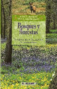 Bosques y florestas