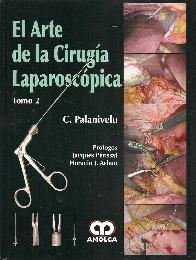 El Arte de la Ciruga Laparoscpica 2 Tomos