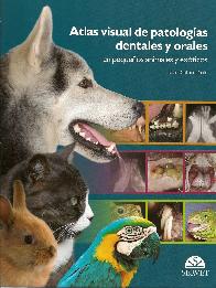 Atlas visual de patologias dentales y orales