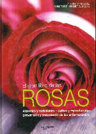 Rosas