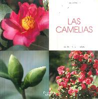 Las camelias