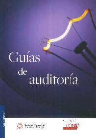 Guas De Auditora. Versin Profesional