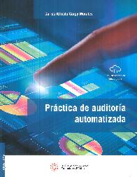 Prctica de auditora automatizada