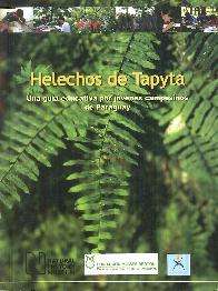 Helechos de Tapyta