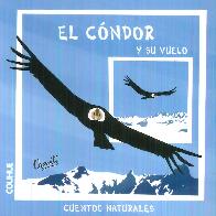 El cndor y su vuelo