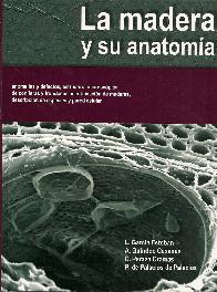 La madera y su anatomia