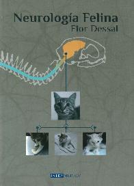 Neurologa felina