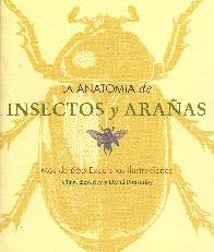 La Anatomia de Insectos y Araas