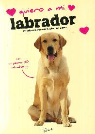 Quiero a mi Labrador