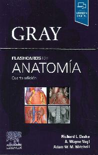 Flashcards de Anatoma Gray