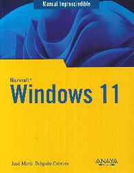 Windows 11