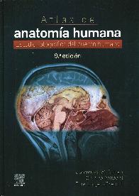 Atlas anatoma humana Rohen Yokochi