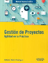 Gestin de Proyectos