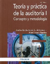 Teoria y practica de la auditoria I