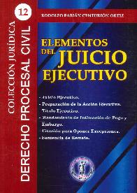 Elementos del juicio ejecutivo