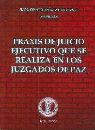 Praxis en juicio ejecutivo que se realiza en los juzgados de paz