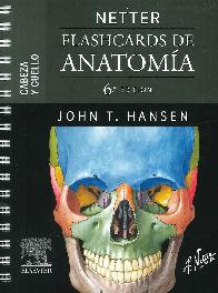 Netter. Flashcards de anatoma. Cabeza y cuello