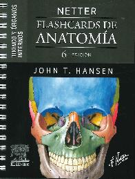 Netter. Flashcards de anatoma. Tronco y rganos internos