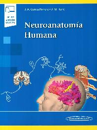 Neuroanatoma Humana