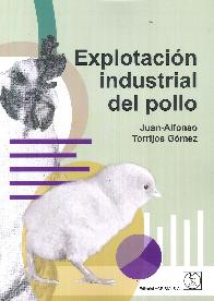 Explotacin industrial del pollo