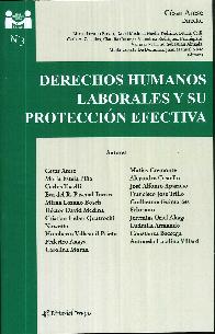 Derechos Humanos Laborales y su proteccin efectiva  3