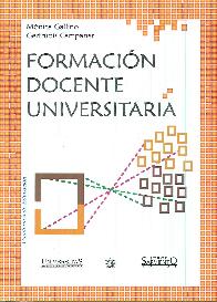 Formacin docente universitaria