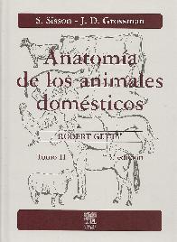 Anatoma de los Animales Domsticos - 2 Tomos