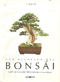 Los secretos del Bonsai