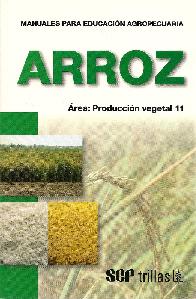 Arroz