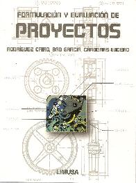 Formulacin y evaluacin de proyectos