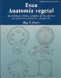 Esau Anatoma Vegetal